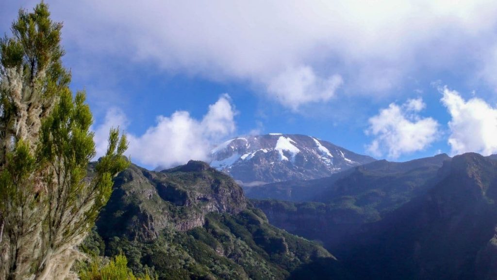 los glaciares tropicales
